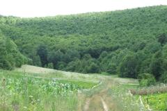 vadaszhaz2_20070908_1300157361