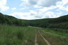 vadaszhaz3_20070908_1053261497