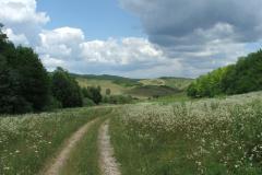 vadaszhaz5_20070908_1163702884