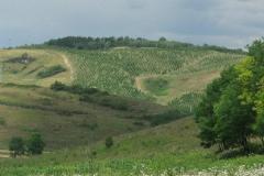 vadaszhaz6_20070908_1693684550